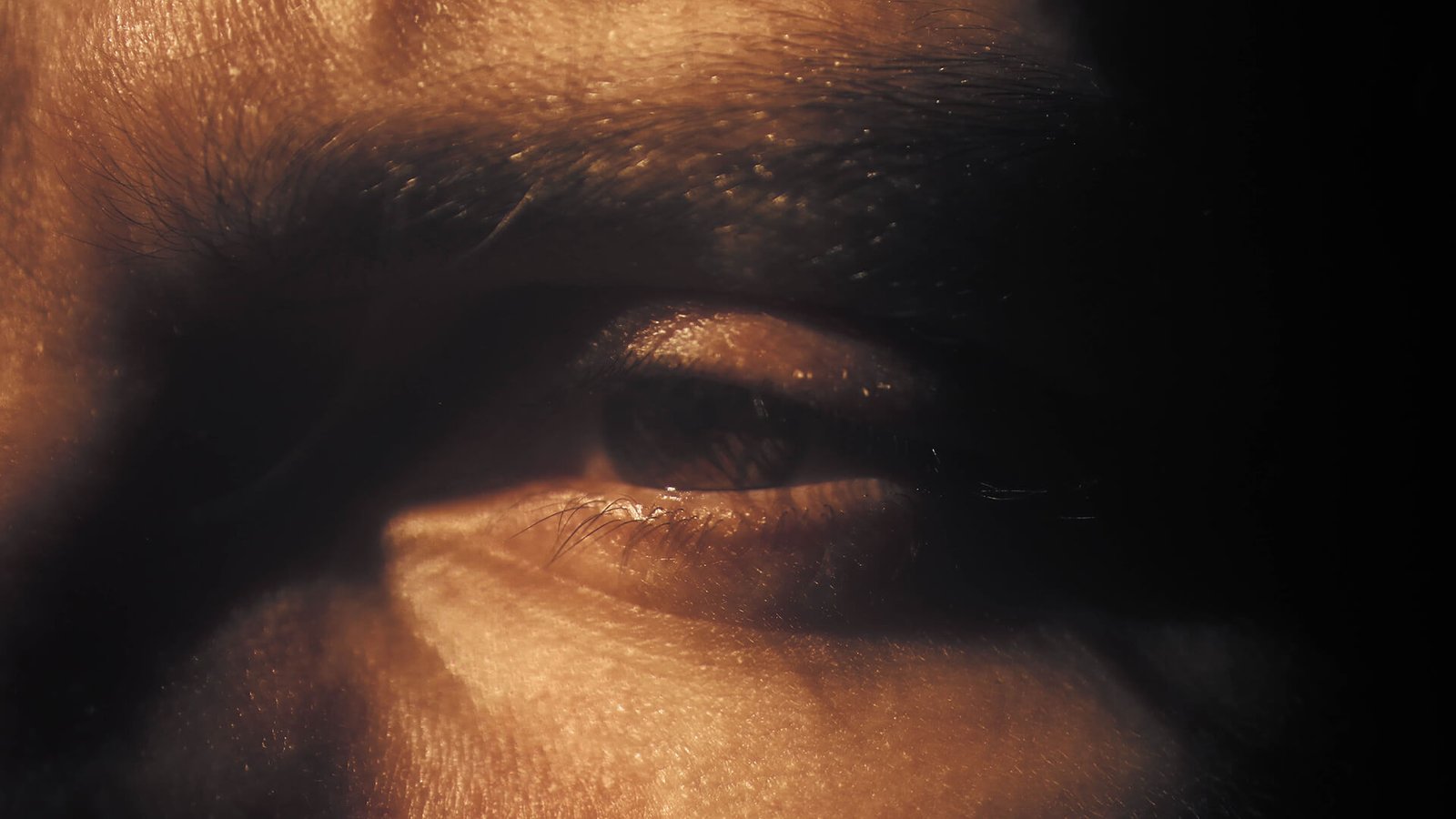 The principles of conceptual design